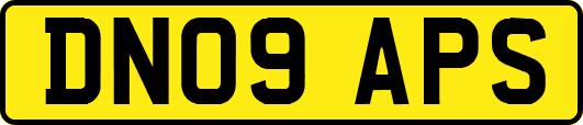 DN09APS