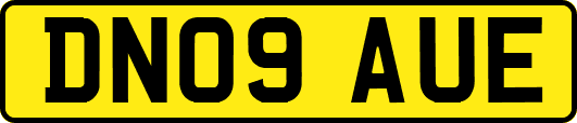 DN09AUE