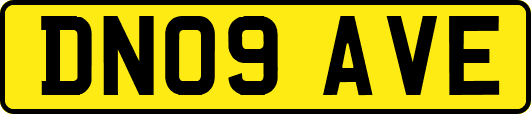 DN09AVE