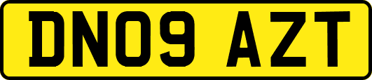 DN09AZT