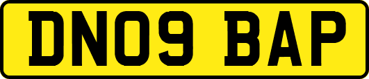 DN09BAP