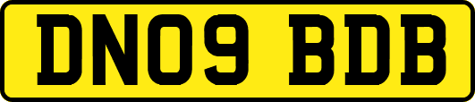 DN09BDB