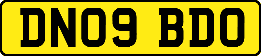 DN09BDO