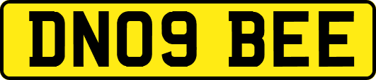 DN09BEE