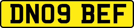 DN09BEF