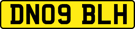 DN09BLH
