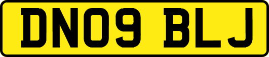DN09BLJ