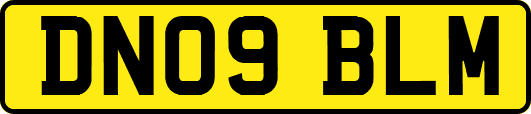 DN09BLM