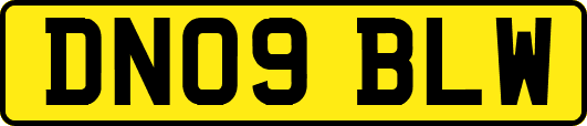 DN09BLW