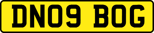 DN09BOG