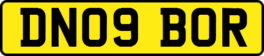 DN09BOR