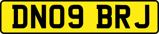 DN09BRJ