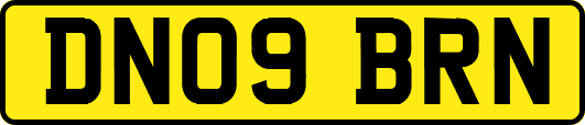 DN09BRN