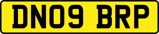 DN09BRP