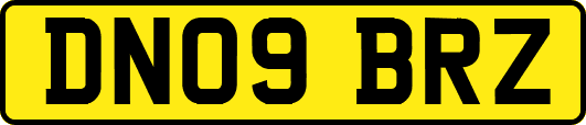 DN09BRZ