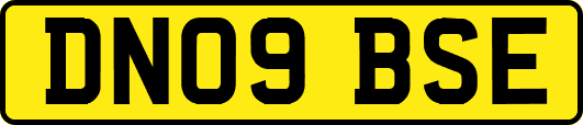 DN09BSE