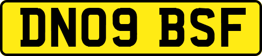 DN09BSF