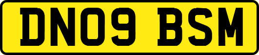 DN09BSM