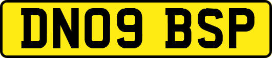 DN09BSP