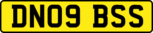 DN09BSS