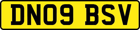 DN09BSV
