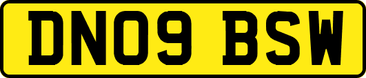 DN09BSW