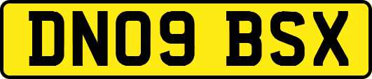 DN09BSX