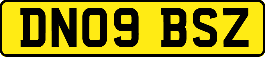 DN09BSZ