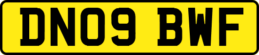 DN09BWF