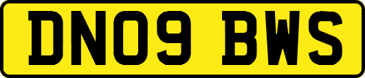 DN09BWS