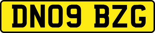 DN09BZG