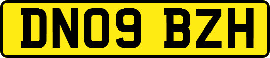 DN09BZH