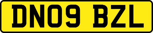 DN09BZL