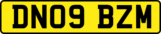 DN09BZM