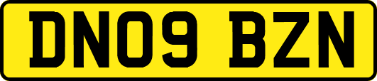 DN09BZN