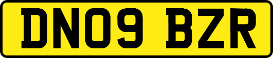 DN09BZR