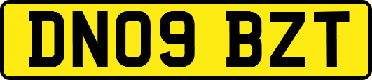 DN09BZT