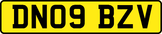 DN09BZV