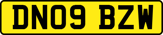 DN09BZW