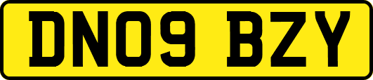 DN09BZY
