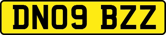 DN09BZZ