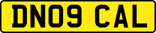 DN09CAL