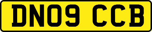 DN09CCB