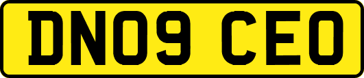 DN09CEO