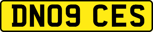 DN09CES