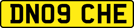 DN09CHE