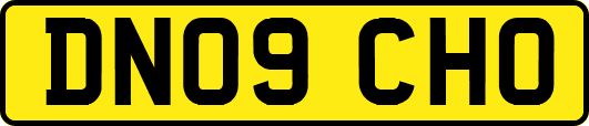 DN09CHO