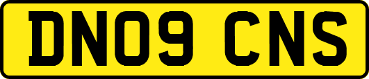 DN09CNS