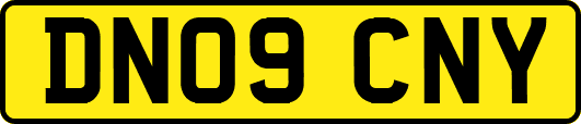 DN09CNY