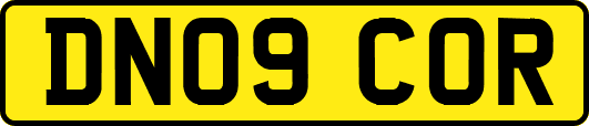 DN09COR